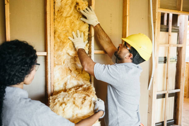 Best Attic Insulation Installation  in Ledbetter, KY